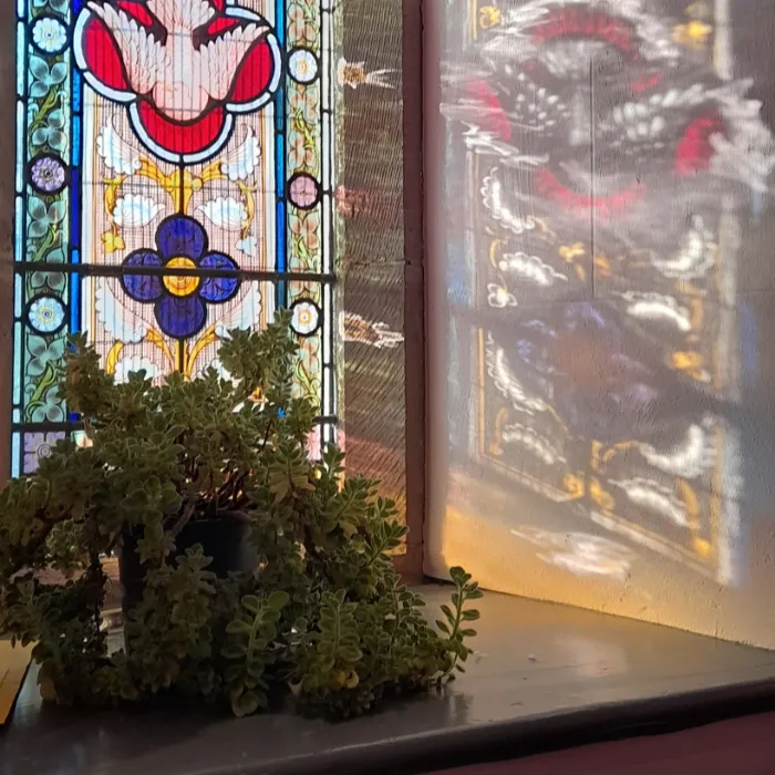 584781931_1425130739620411_4169263941721198932_n